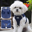 Choke-Free Dog Harness: Solid Color - American River