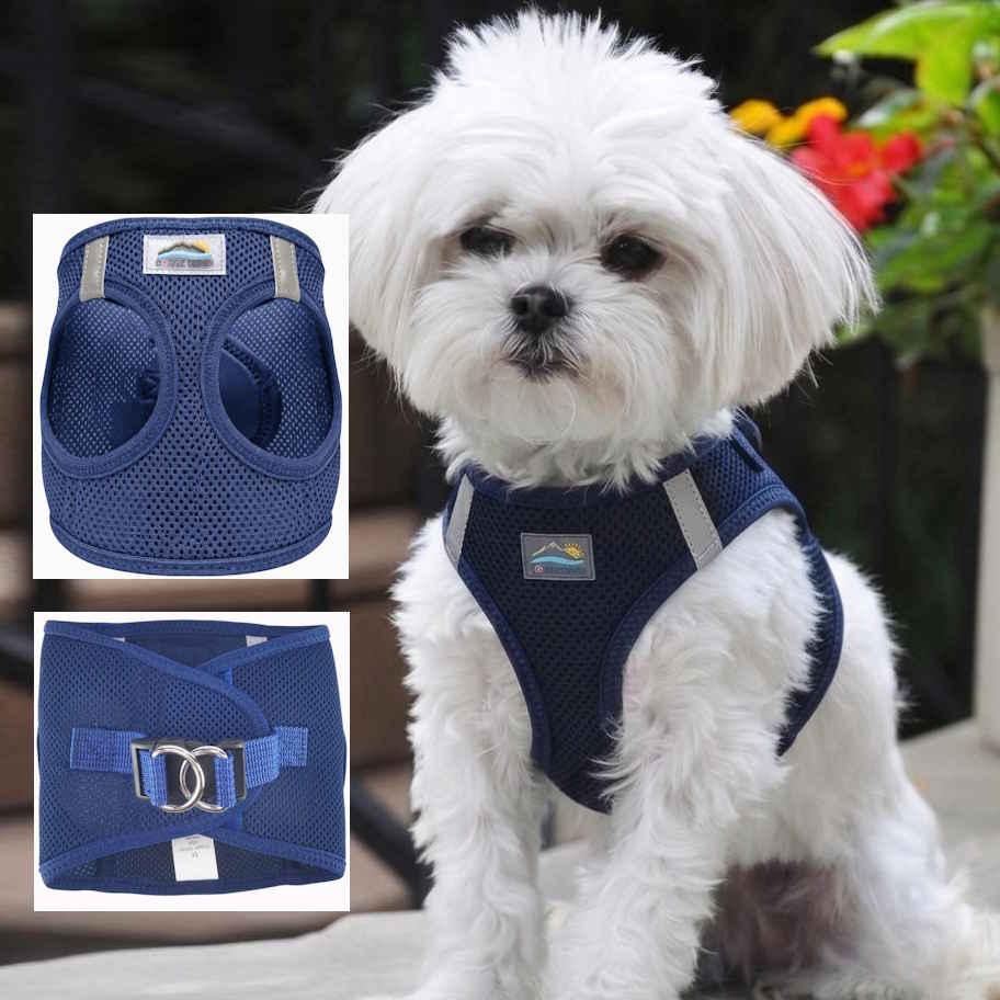 Choke-Free Dog Harness: Solid Color - American River