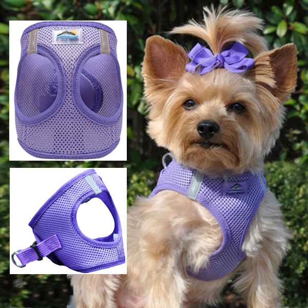 Choke-Free Dog Harness: Solid Color - American River