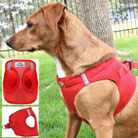Choke-Free Dog Harness: Solid Color - American River