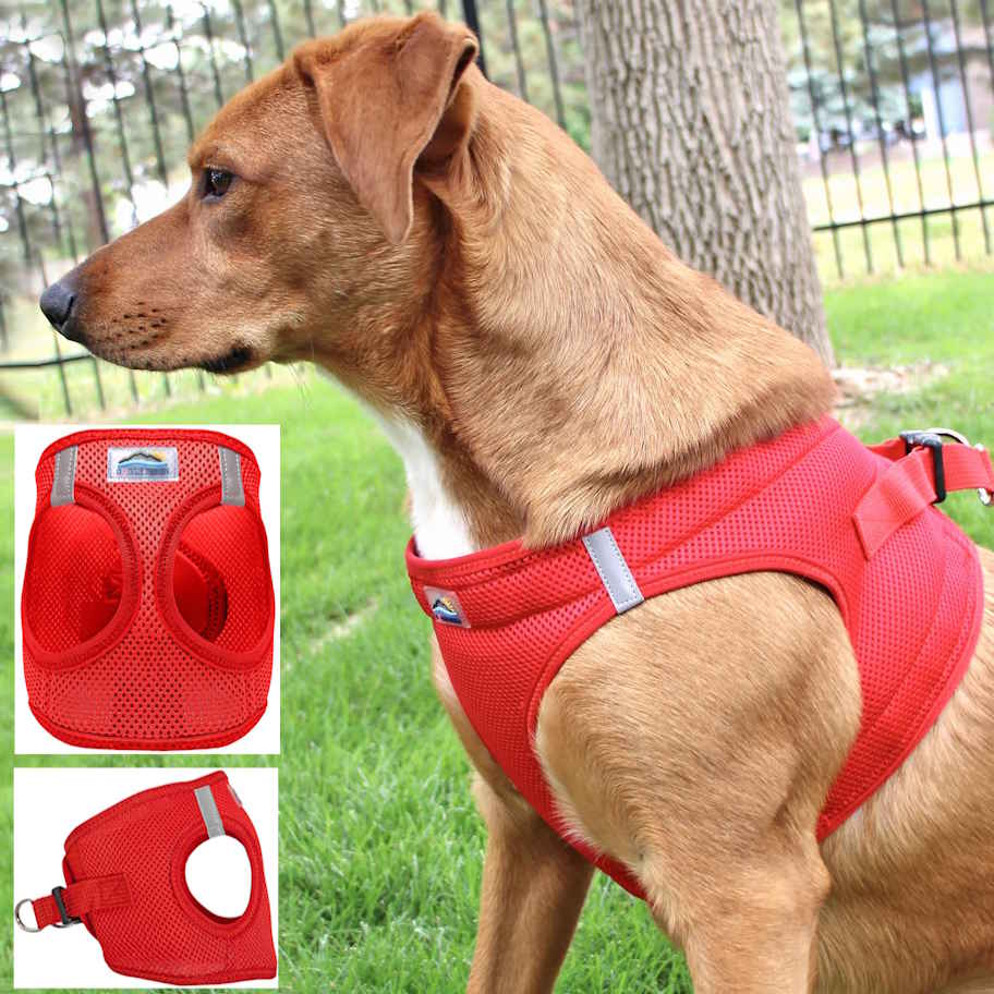 Choke-Free Dog Harness: Solid Color - American River