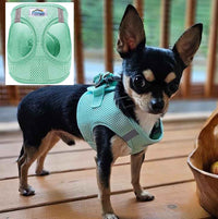 Choke-Free Dog Harness: Solid Color - American River