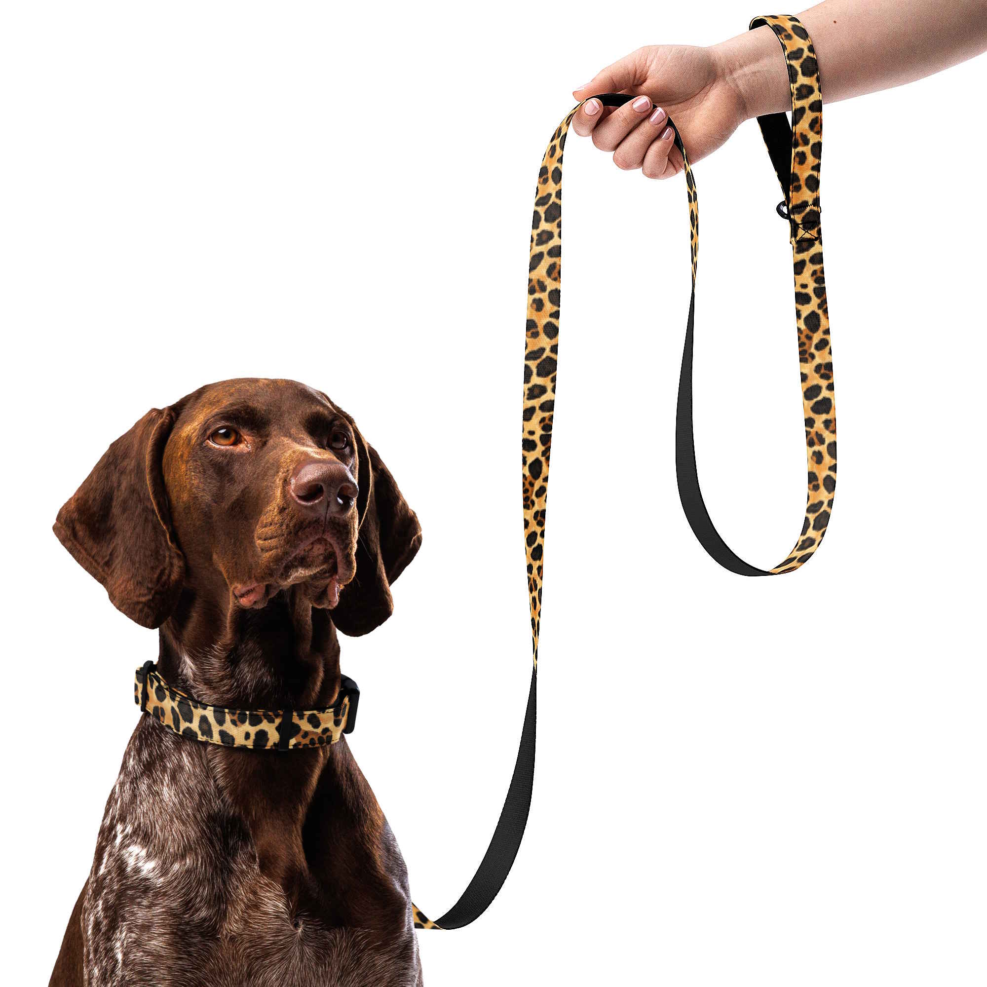 Leopard print dog collar and leash set.