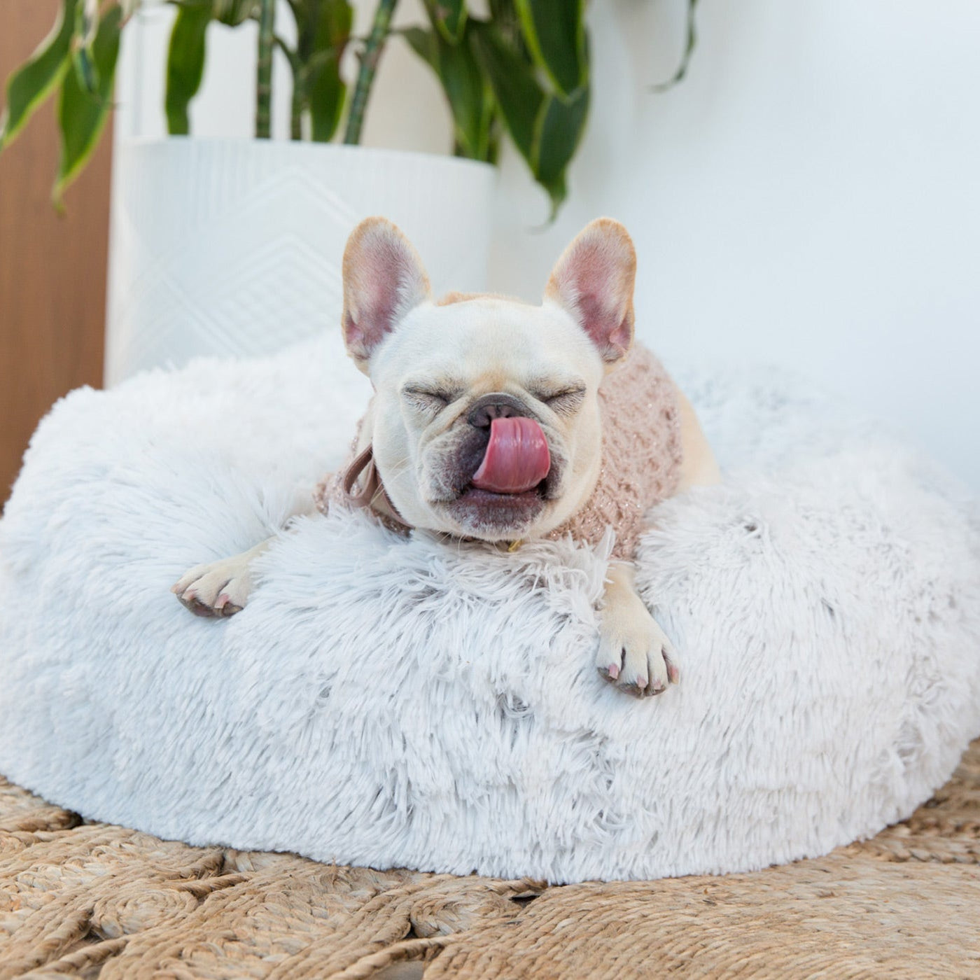 Round bolstered dog bed in white faux fur: removable/washable cover-overstuffed for firm, soft support-ecofriendly stuffing-Made in USA by Jax & Bones