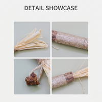 Chew Stick Cat Toy