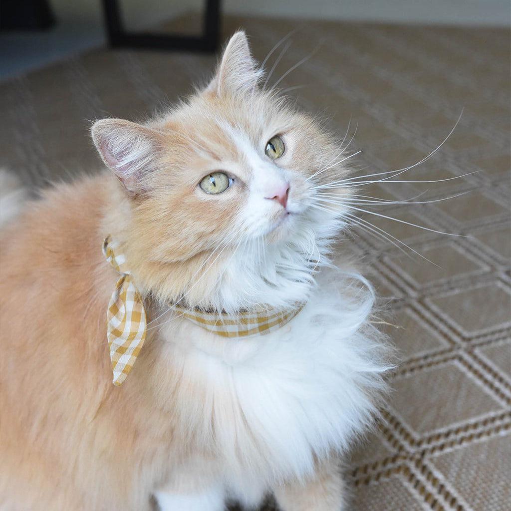 The Adventure Necktie