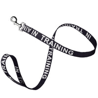 Reflective Nylon Dog Leash: ESA, Service Dog, Adopt Me, Do Not Pet, Therapy Dog
