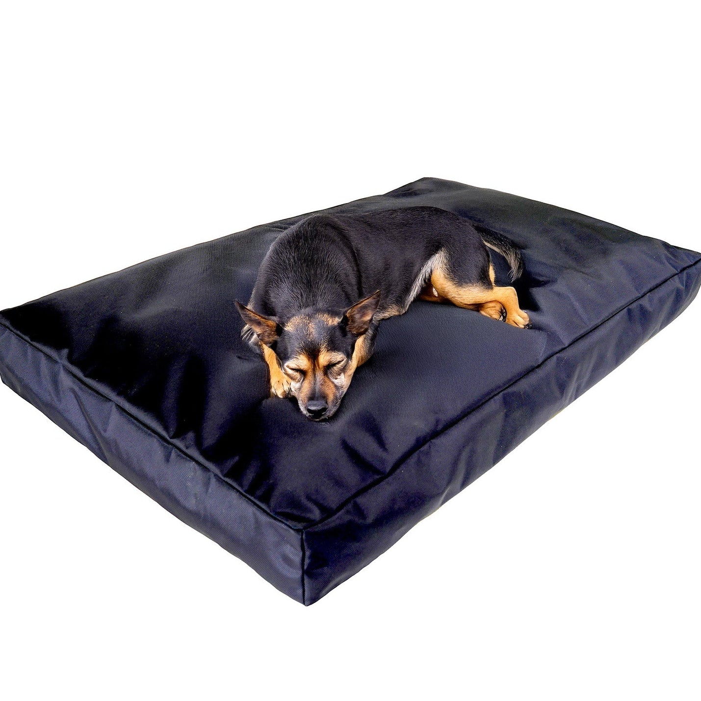 Armor™ Rectangle Dog Bed