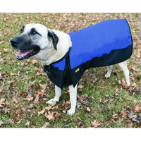 A large white and black dog standing on grass wearing a blue and black Gatsby waterproof dog blanket coat.