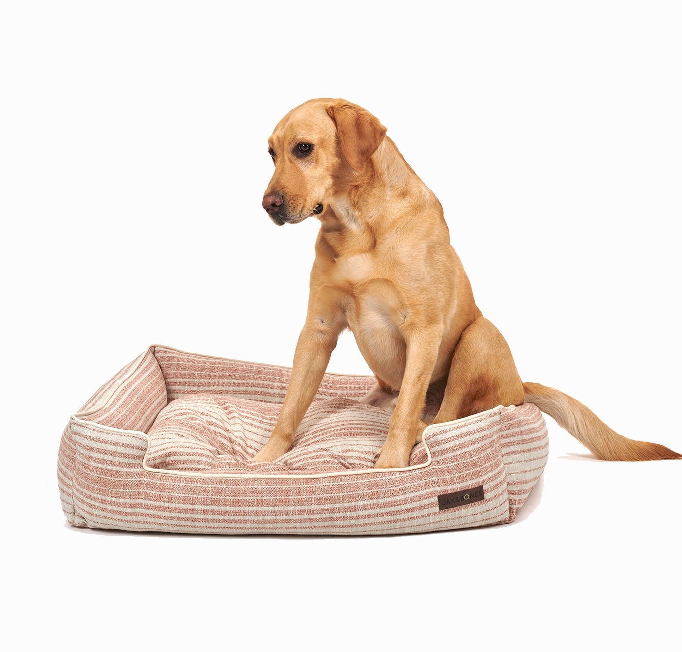 Hampton Blush Lounge Dog Bed by Jax & Bones