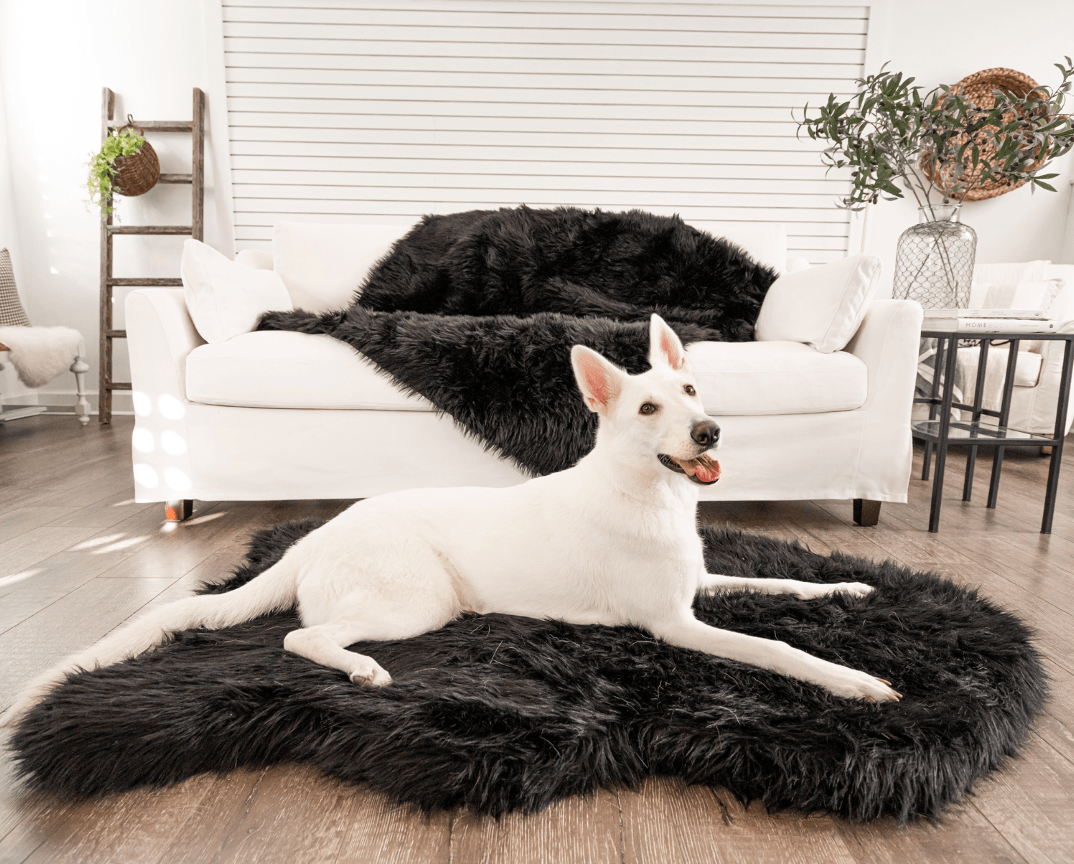 PupRug by Paw.com®  Faux Fur Orthopedic Dog Bed: Curve Midnight Black
