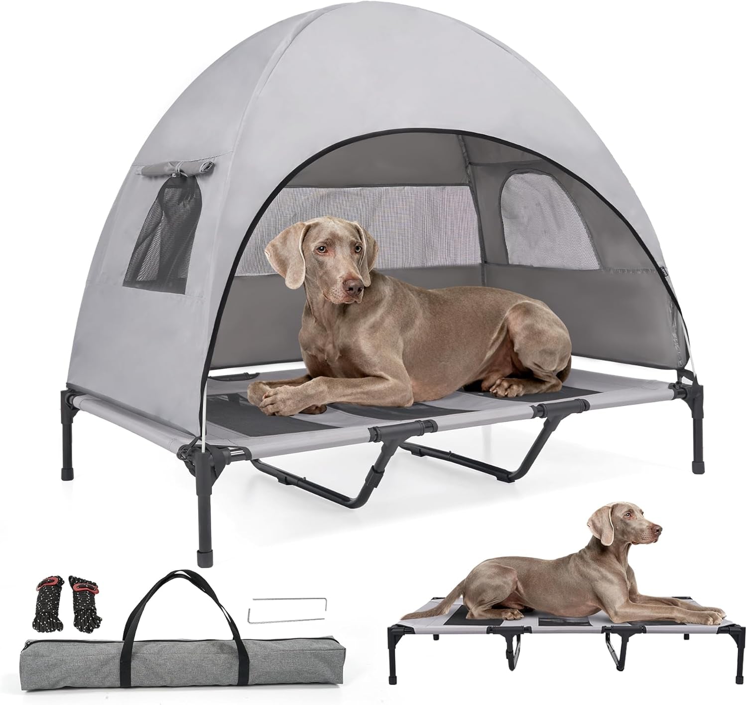 Outdoor Dog Cot and Shade Canopy