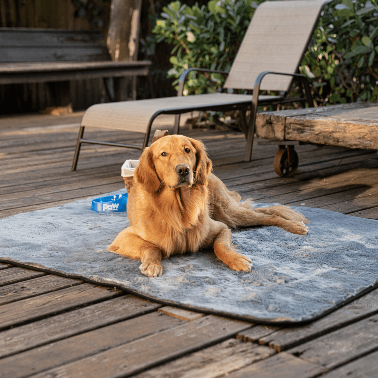 Gray Faux-Fur Waterproof Blanket - Summer Short Fur