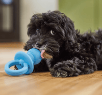 Chasin' The Blues SQUEAKY & Chewy Dog & Puppy Gift Basket / BARK, Kong, GoDog