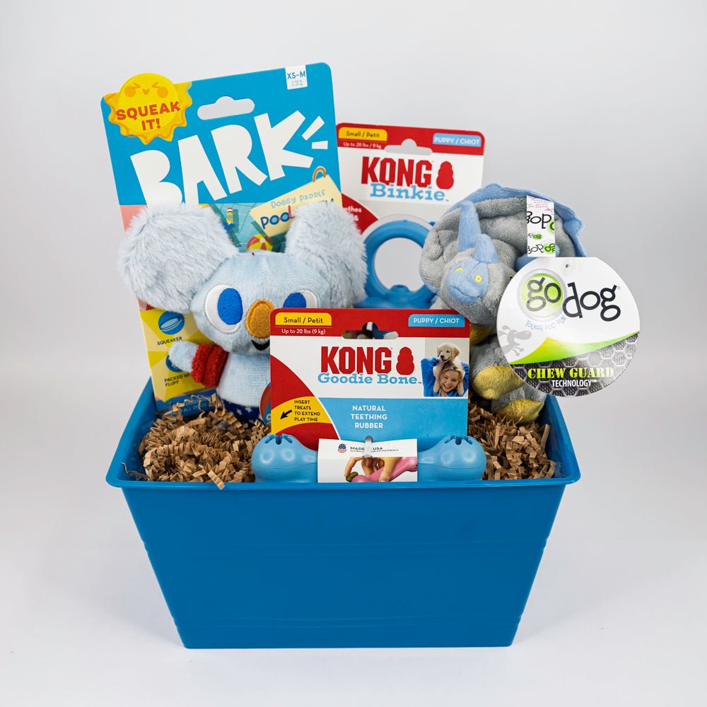 A pet toy gift basket in a blue plastic tub filled with dog toys and packaged treats. Visible items include a plush koala toy, blue balls, a Kong Binkie toy, a squeak ball, and a Go Dog chew guard, arranged in brown paper shred on a light gray background.