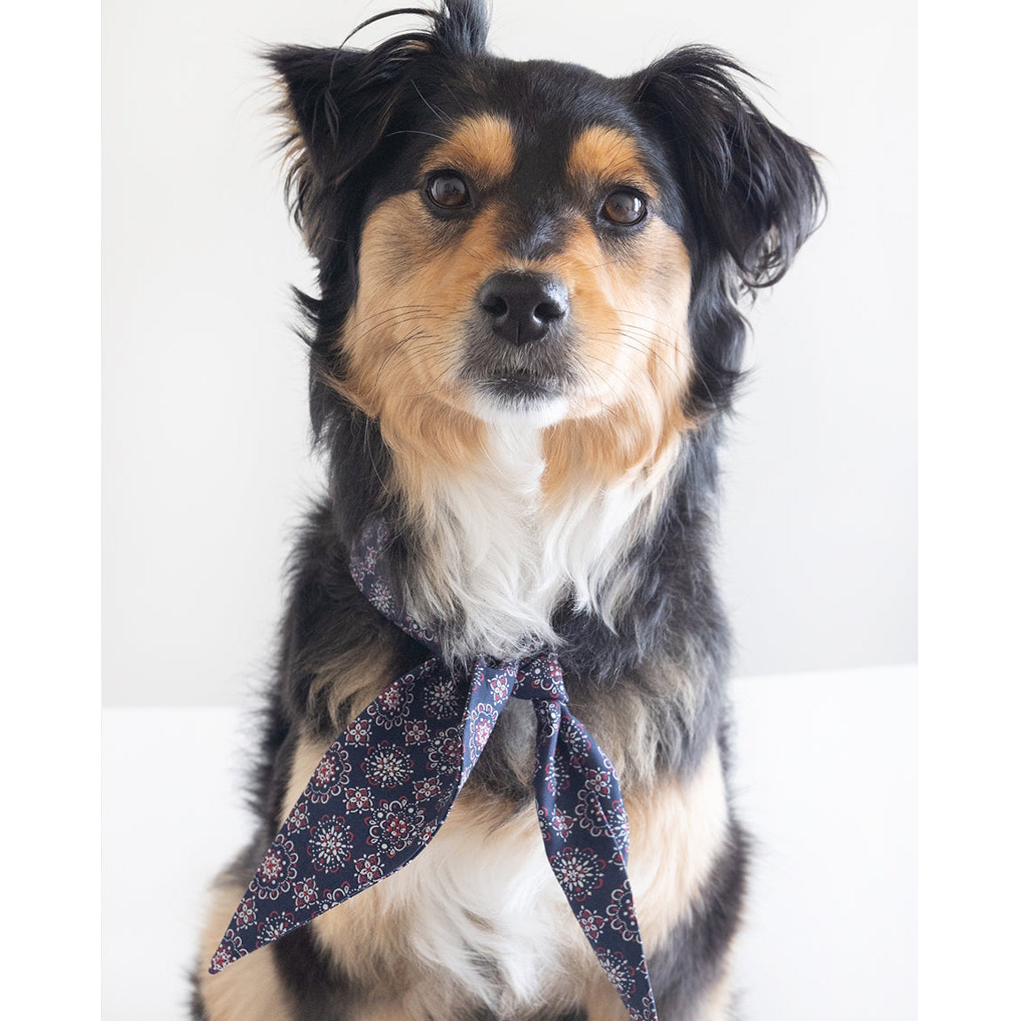 The Classic Necktie