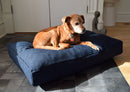 Organic Hemp CertiPUR-US Foam Dog Bed