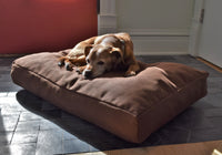 Organic Hemp CertiPUR-US Foam Dog Bed
