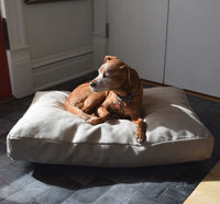 Organic Hemp CertiPUR-US Foam Dog Bed