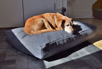 Organic Hemp CertiPUR-US Foam Dog Bed