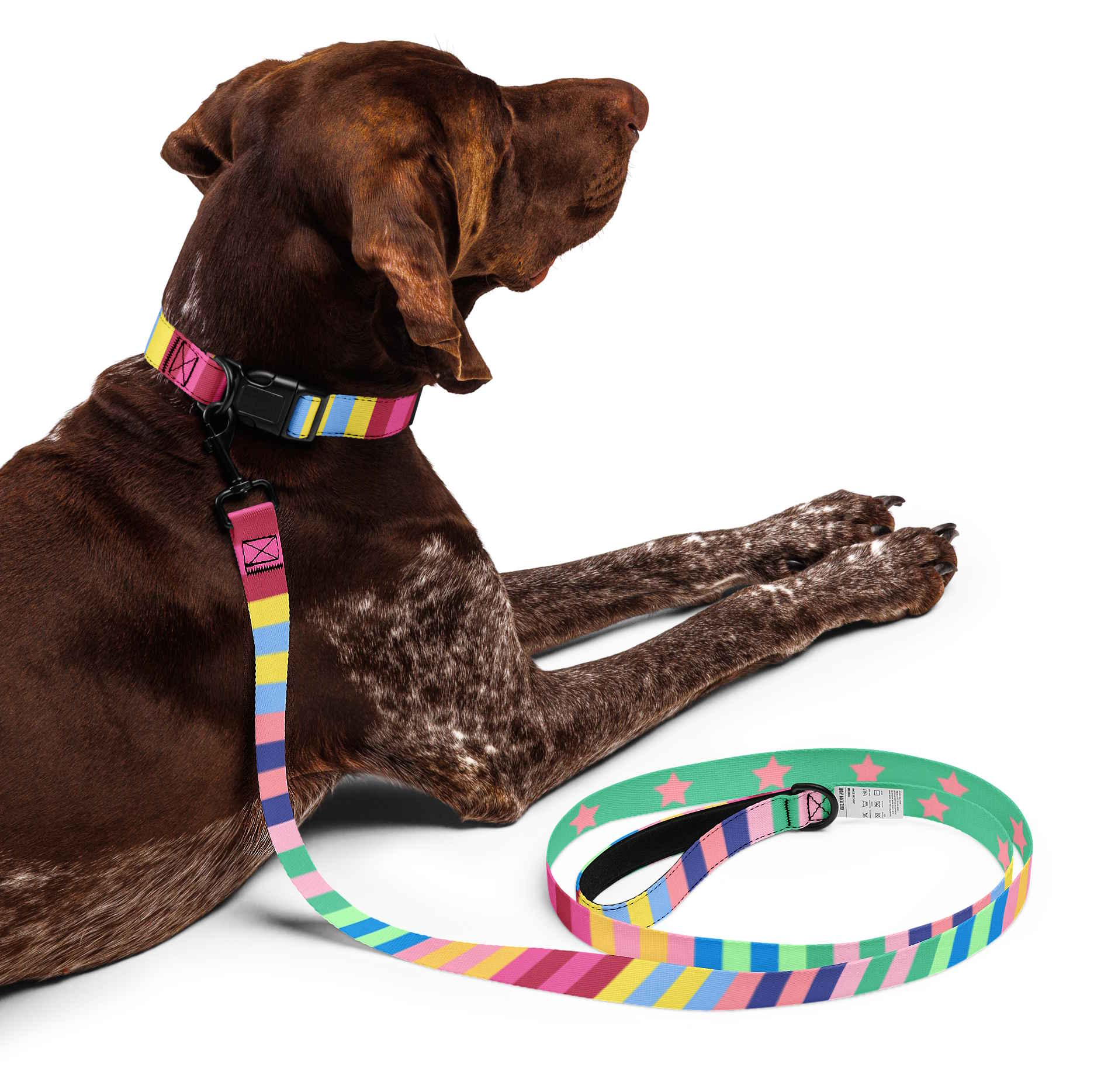 Rainbow Stripes and Stars Dog Collar & Leash