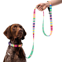 Rainbow Stripes and Stars Dog Collar & Leash
