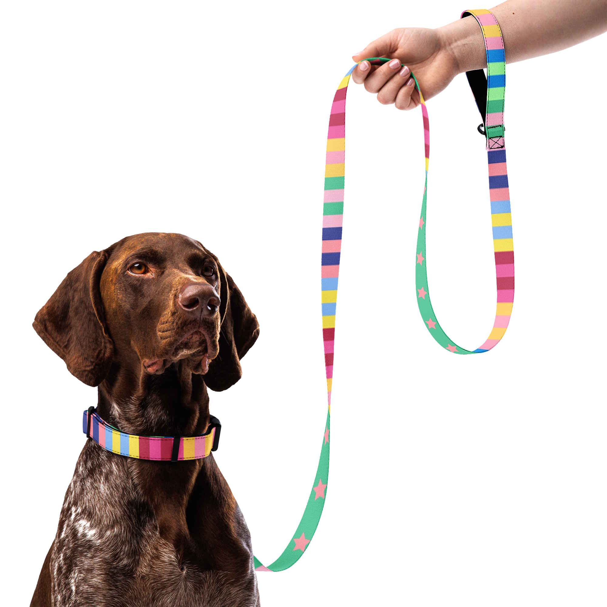 Rainbow Stripes and Stars Dog Collar & Leash