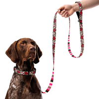 Kisses Dog Collar & Leash
