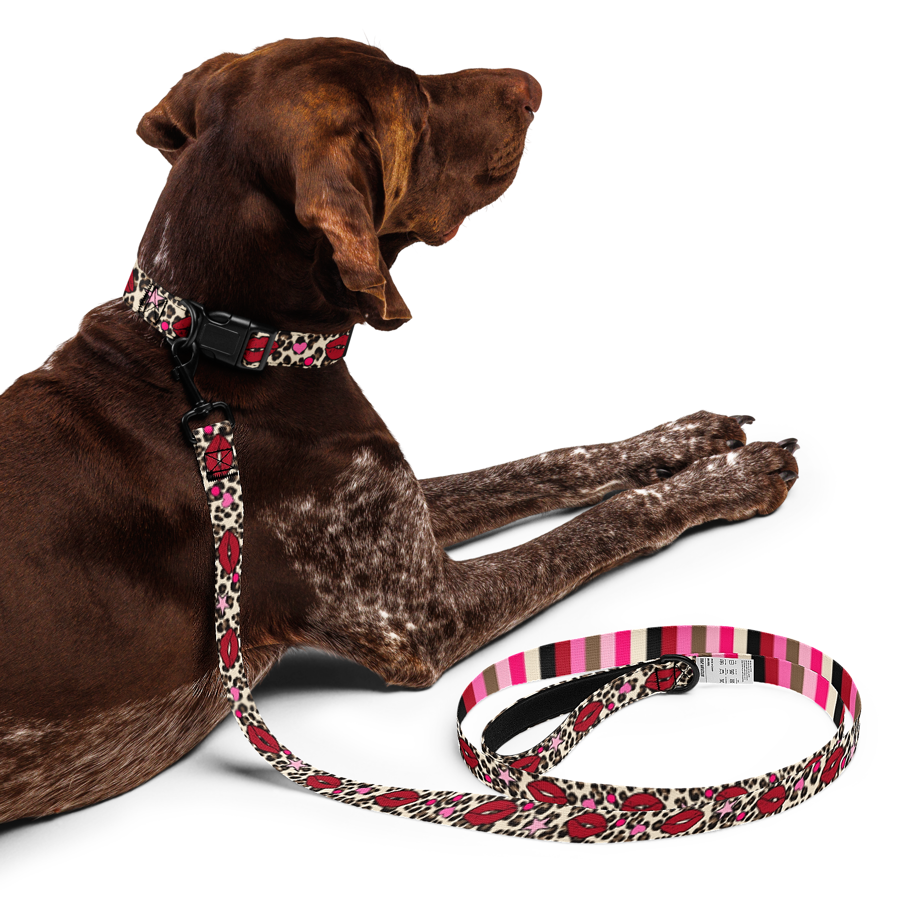 Kisses Dog Collar & Leash