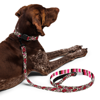 Kisses Dog Collar & Leash
