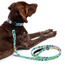 Smiley Faces Dog Collar & Leash