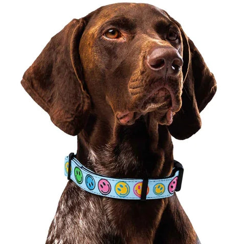 Smiley Faces Dog Collar & Leash