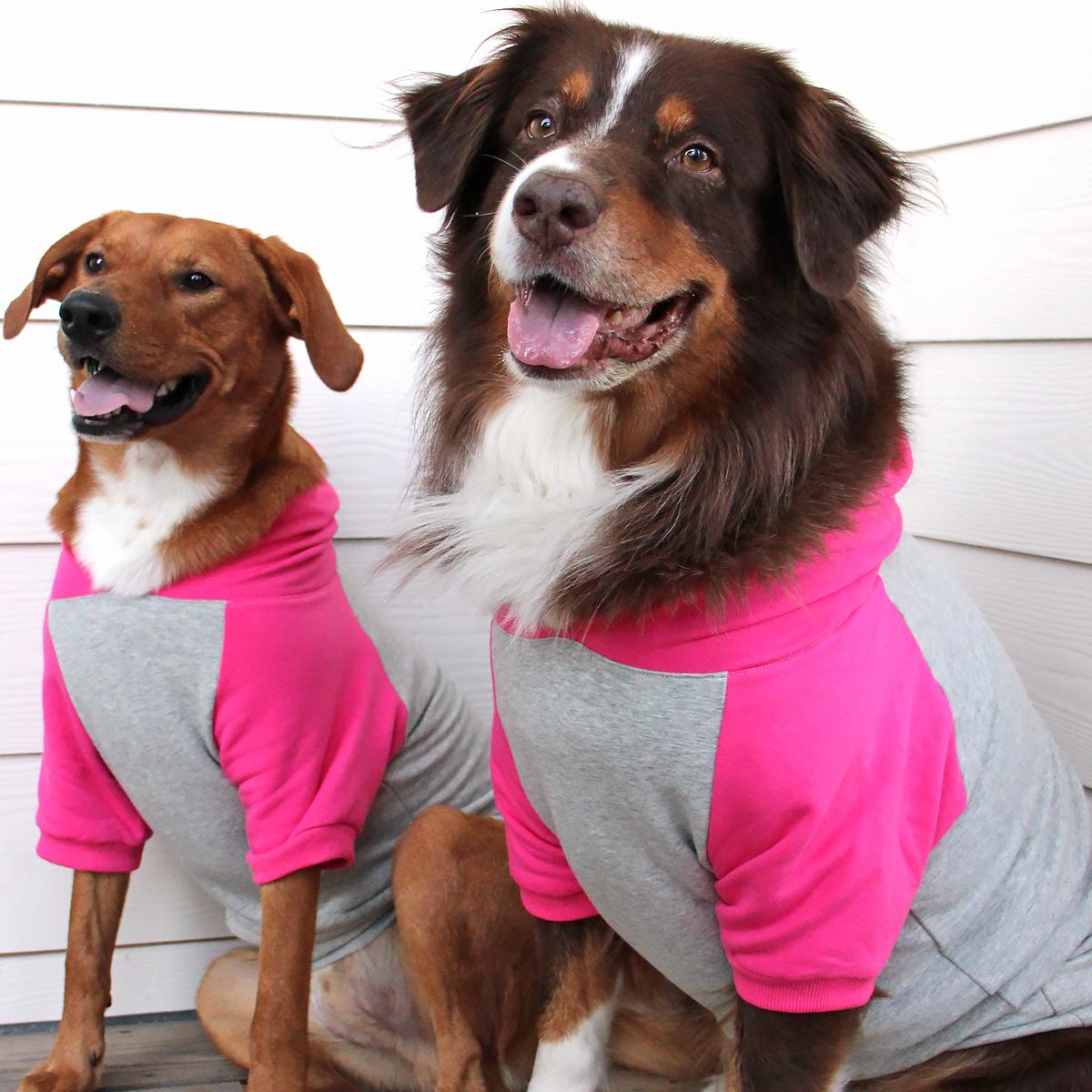 Color-Block Dog Hoodie