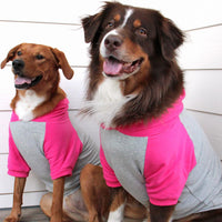 Color-Block Dog Hoodie