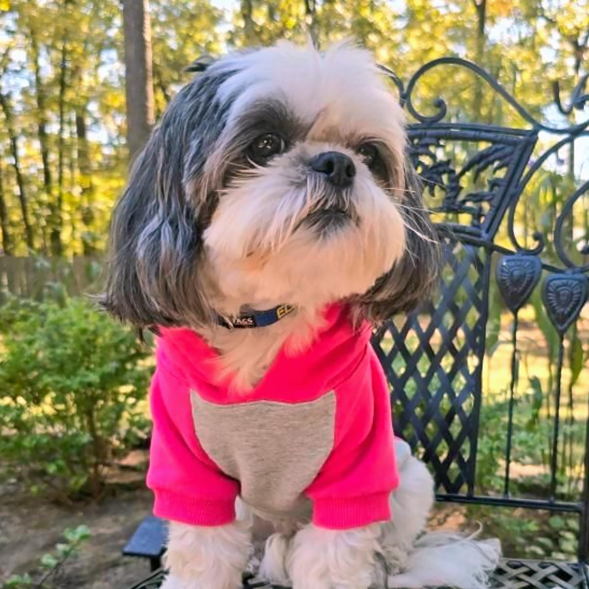 Color-Block Dog Hoodie