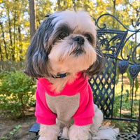 Color-Block Dog Hoodie