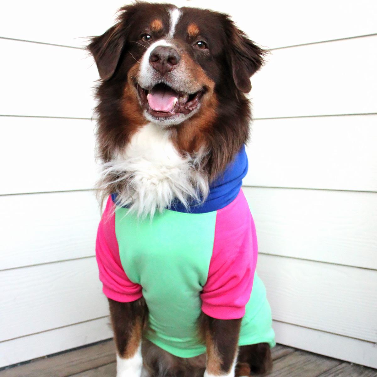 Color-Block Dog Hoodie