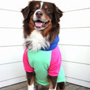 Color-Block Dog Hoodie