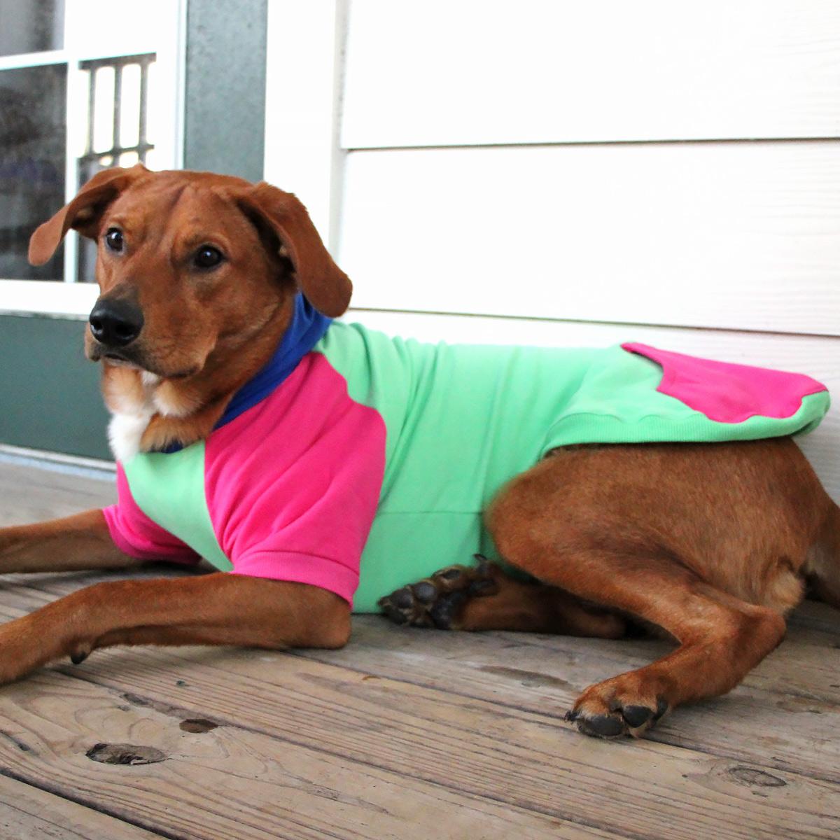 Color-Block Dog Hoodie