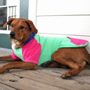 Color-Block Dog Hoodie