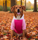 Color-Block Dog Hoodie