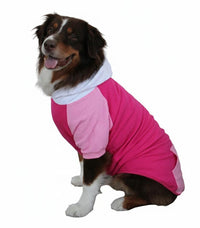 Color-Block Dog Hoodie