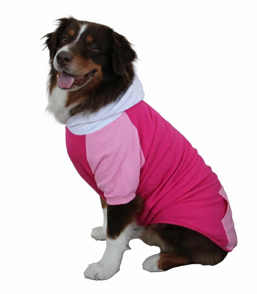 Color-Block Dog Hoodie