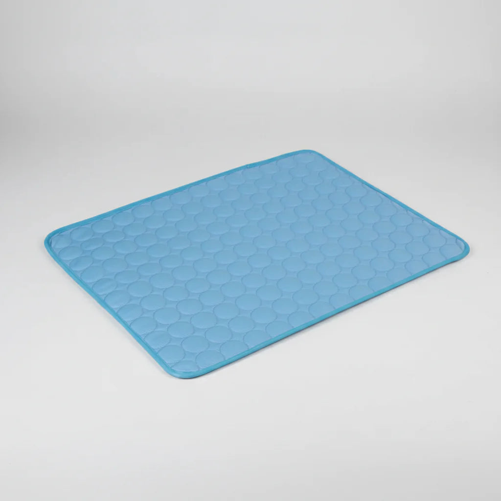 Blue / XS 40x30cm