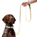 Dog collar and leash set with cupcake pattern on a green and white striped background