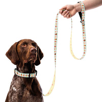 Dog collar and leash set with cupcake pattern on a green and white striped background
