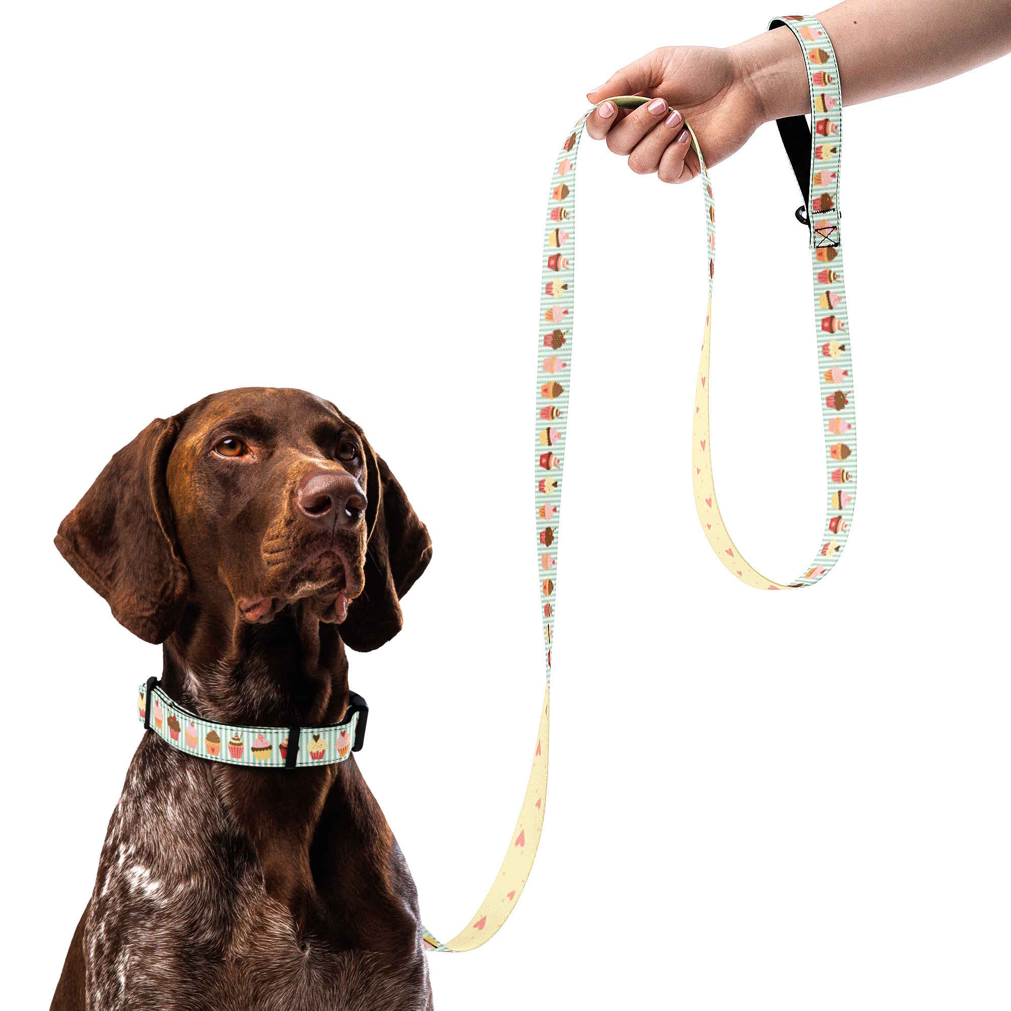 Dog collar and leash set with cupcake pattern on a green and white striped background