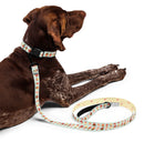 Dog collar and leash set with cupcake pattern on a green and white striped background