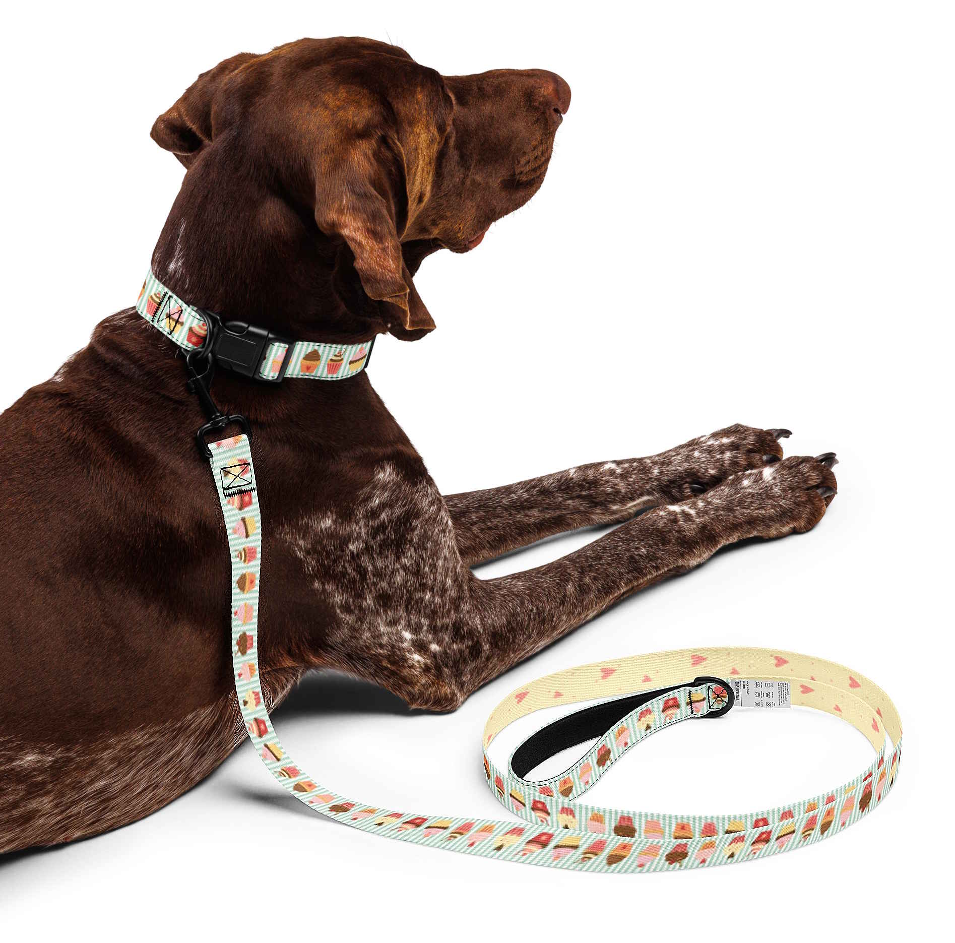 Dog collar and leash set with cupcake pattern on a green and white striped background