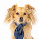 The Classic Necktie